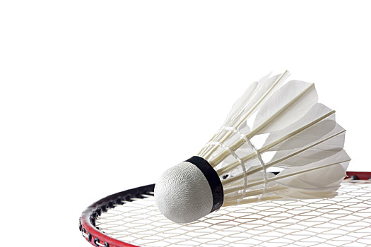 业态度的严 业态度的严