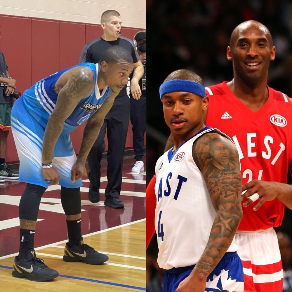 他们在引进 他们在引进