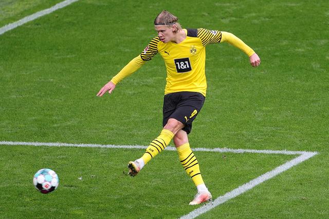 他们正在打 他们正在打