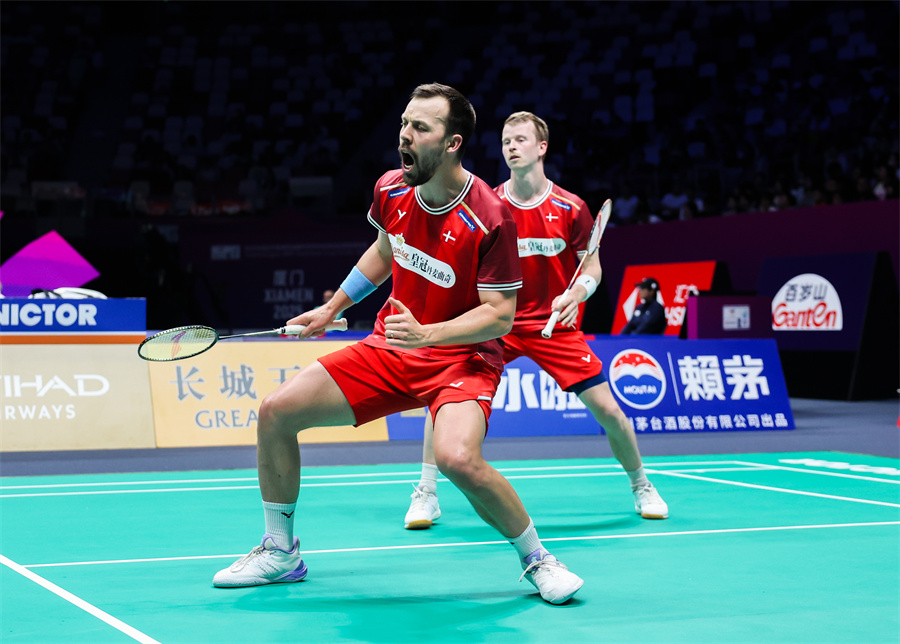 一只苍蝇 一只苍蝇