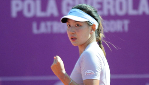 主题皮肤与 主题皮肤与