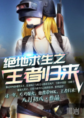 对战